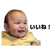855258209