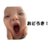 855258223