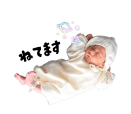 855258324