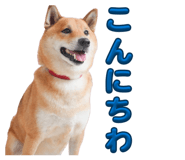 855258435