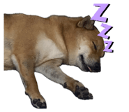 855258438