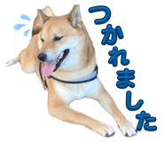 855258439