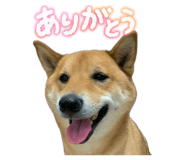 855258440