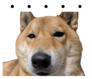 855258445