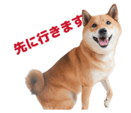 855258449