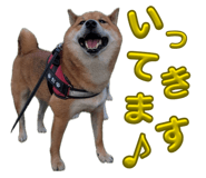 855258451