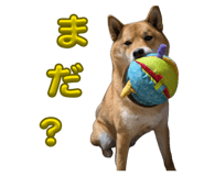 855258452