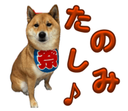 855258453