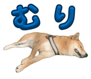 855258454