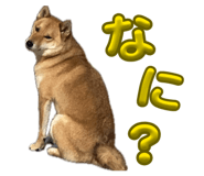 855258457