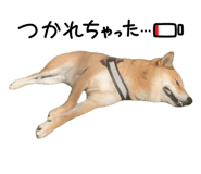 855258458