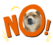 855258460
