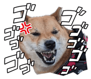 855258463