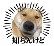 855258465