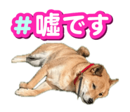 855258467