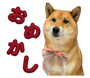 855258471