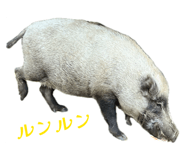 855259682