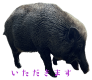 855259694