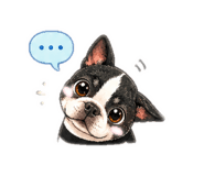 855259806