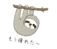 855261584