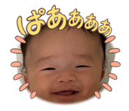 855262155