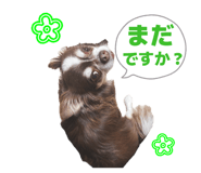855262342