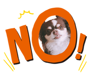 855262355
