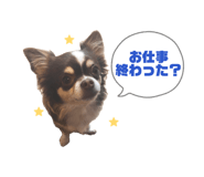 855262368
