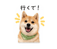 855263562