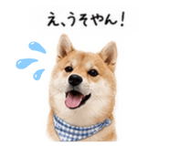 855263564
