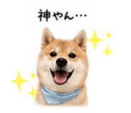855263566