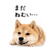 855263570