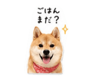 855263573