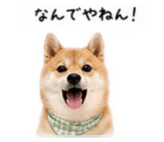 855263574