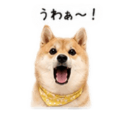 855263575