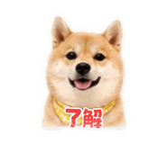 855263576