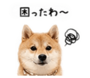 855263577