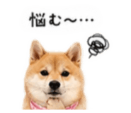 855263578