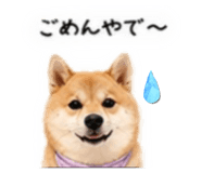 855263579