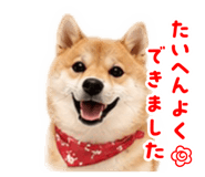 855263589