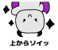 855263637