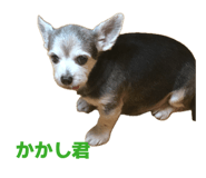855265018