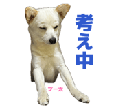 855265027