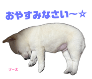 855265030