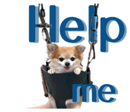 855265709