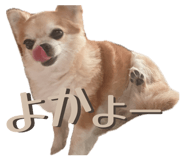 855265715