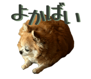 855265716