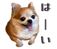 855265718