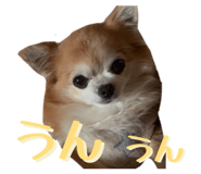 855265719