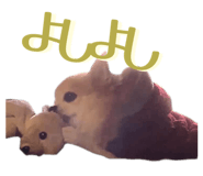 855265721